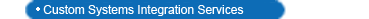 Custom Systems Integration Services
