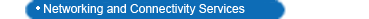 Wireless Network Services